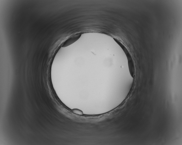 X0000083010001200703021951