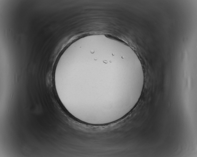 X0000083010002200703021951