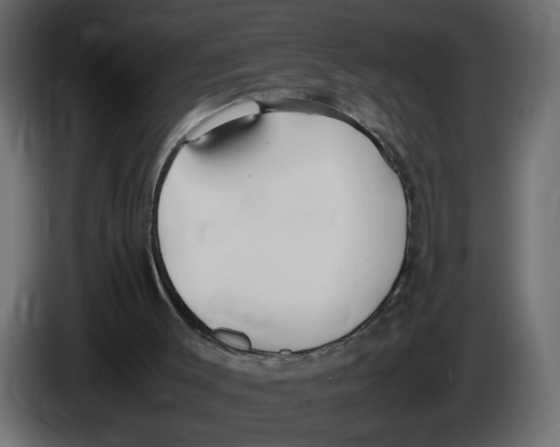 X0000083010003200703021951