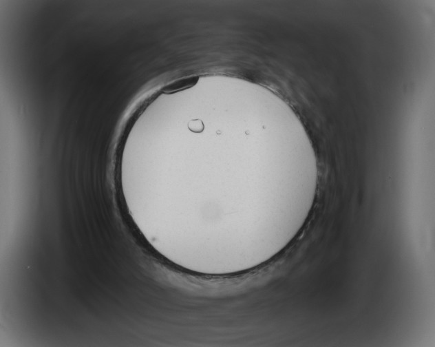 X0000083010006200703021951