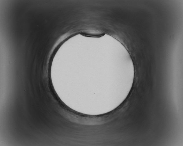 X0000083010008200703021951