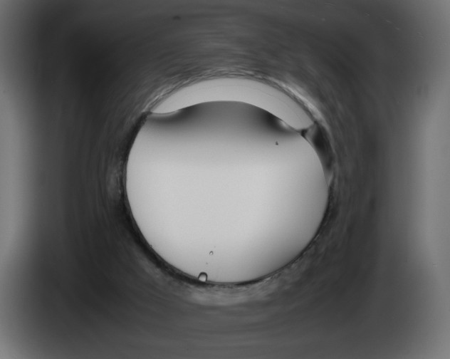 X0000083010009200703021951