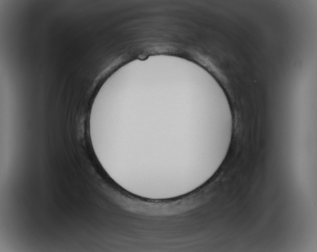 X0000083010010200703021951