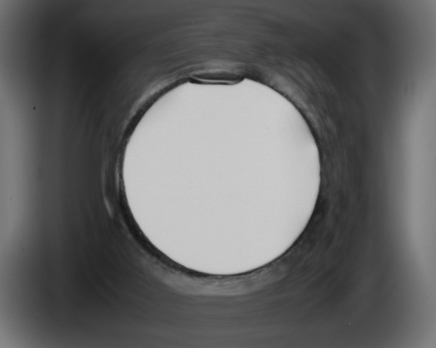 X0000083010011200703021951