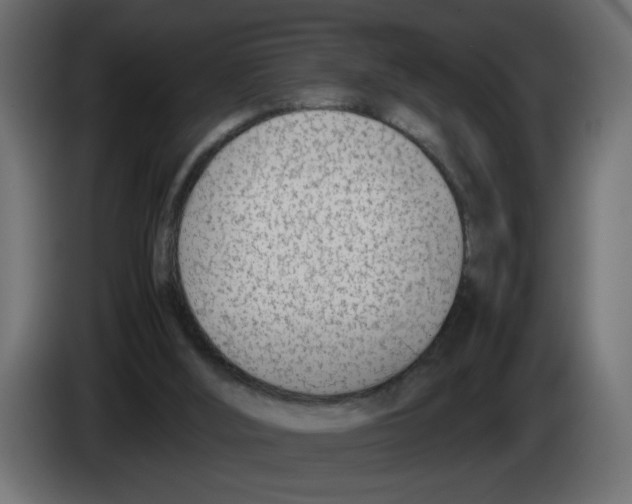 X0000083010012200703021950