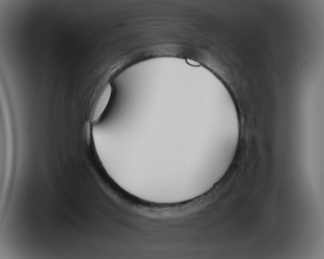 X0000083010013200703021950