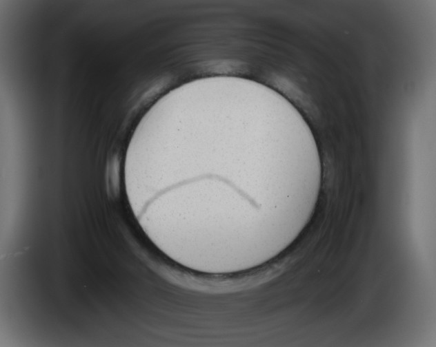 X0000083010014200703021950