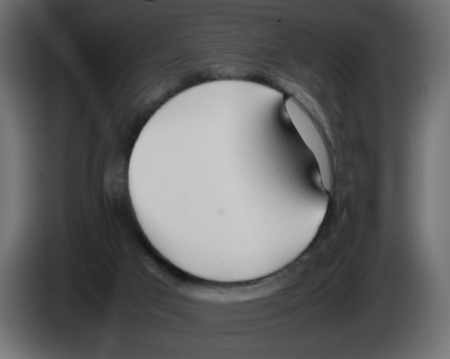 X0000083010017200703021950