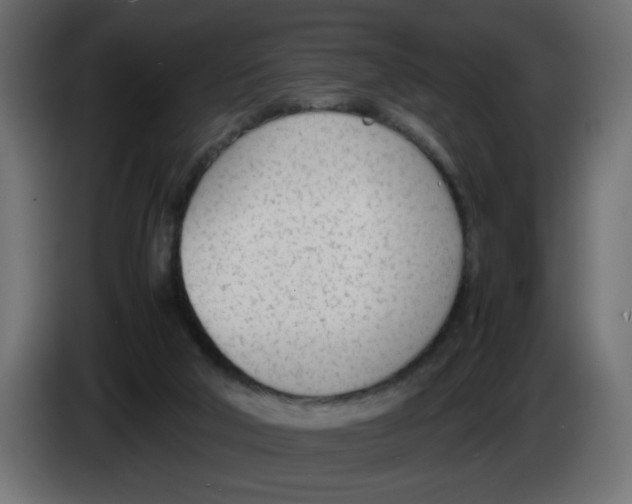 X0000083010018200703021950