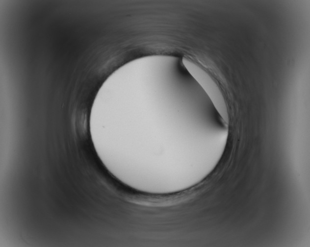 X0000083010021200703021950