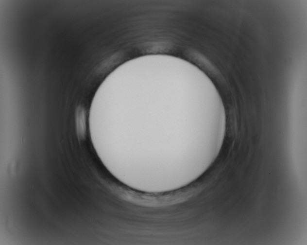 X0000083010022200703021950