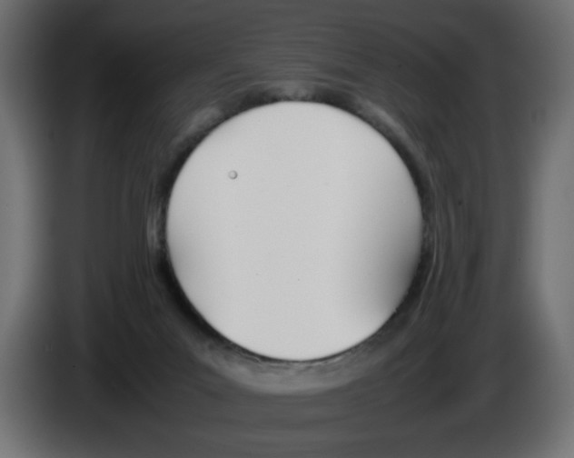 X0000083010023200703021950