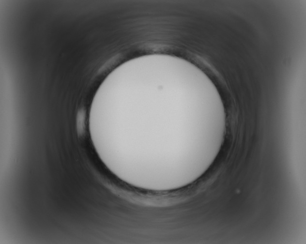 X0000083010024200703021950