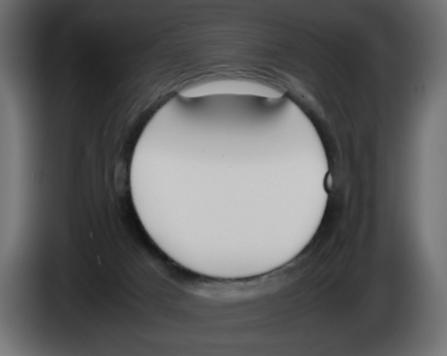 X0000083010025200703021950