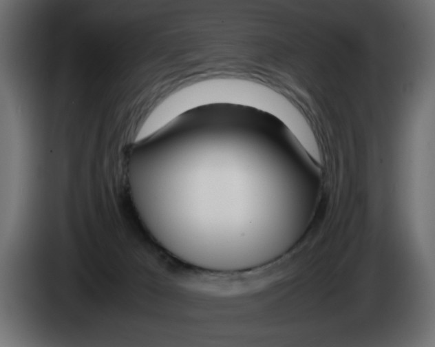 X0000083010029200703021950