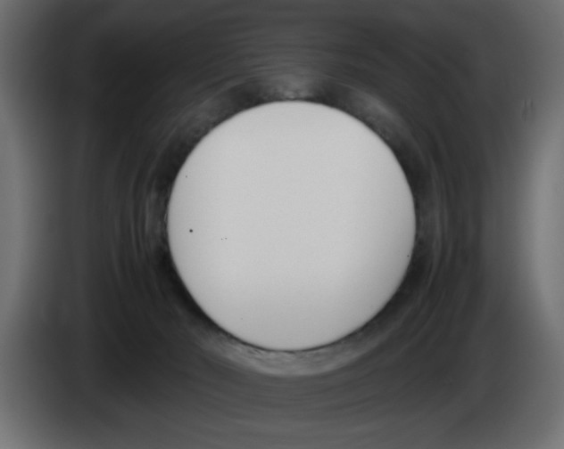 X0000083010030200703021950