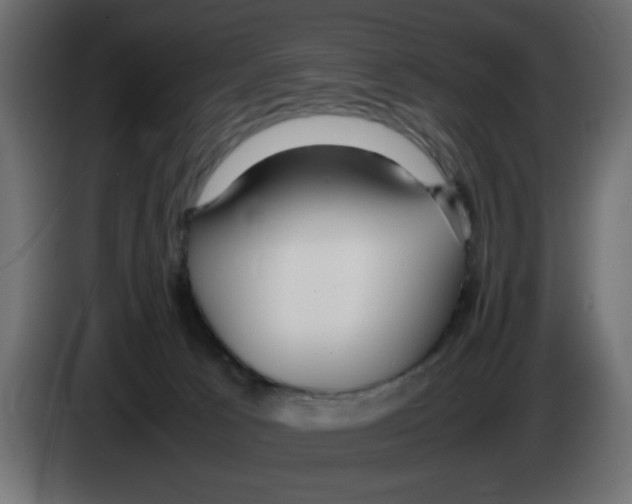 X0000083010033200703021950