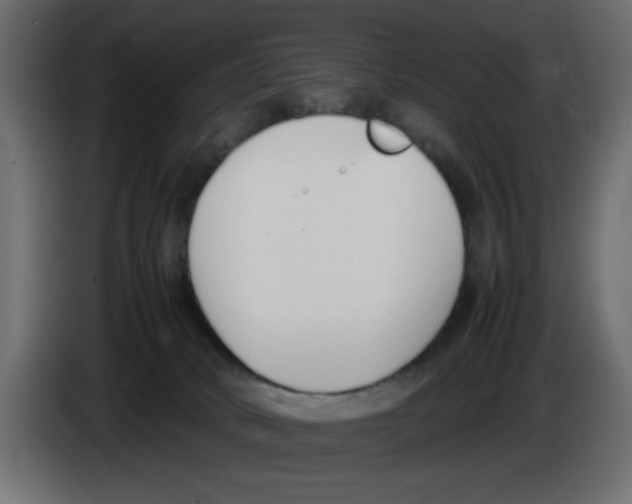 X0000083010034200703021950