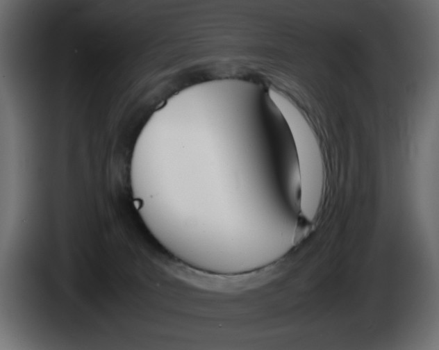 X0000083010035200703021950