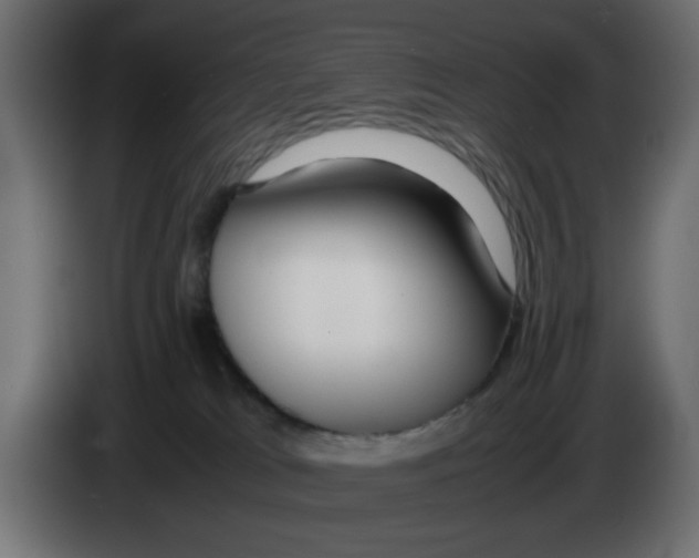 X0000083010037200703021950