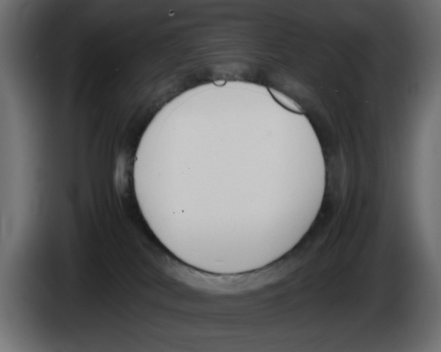 X0000083010038200703021950