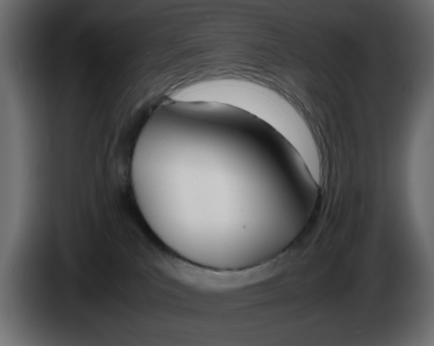 X0000083010039200703021950