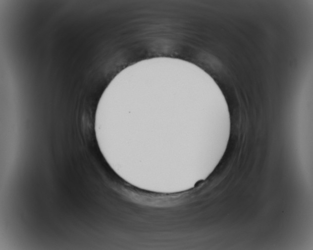 X0000083010040200703021950