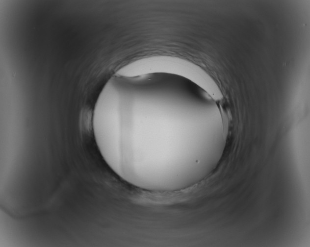 X0000083010041200703021950