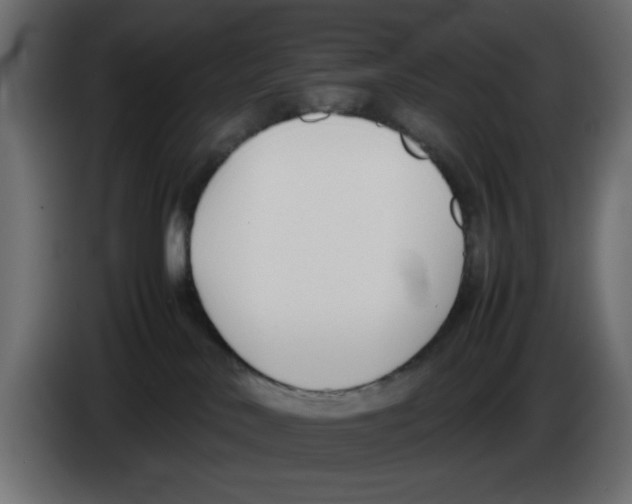 X0000083010042200703021950