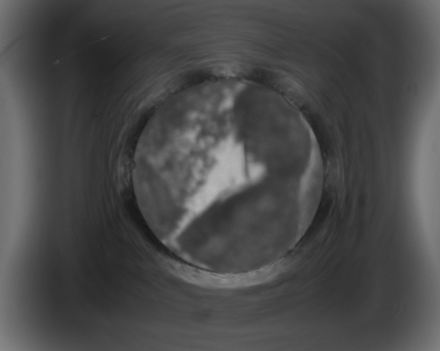 X0000083010043200703021950