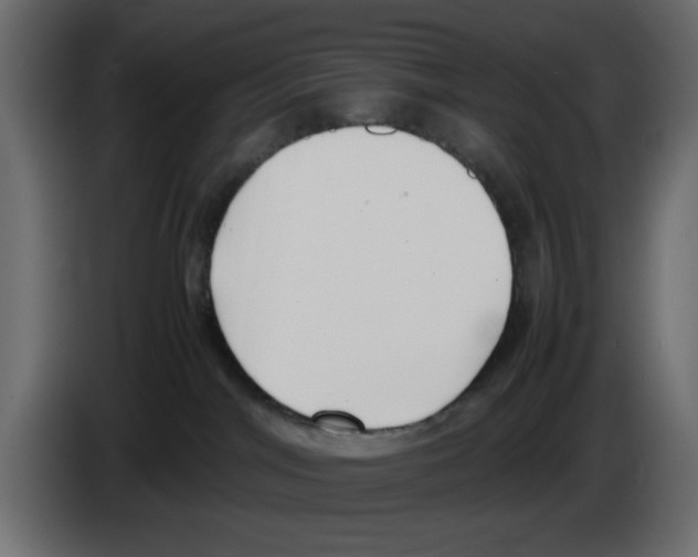 X0000083010044200703021950