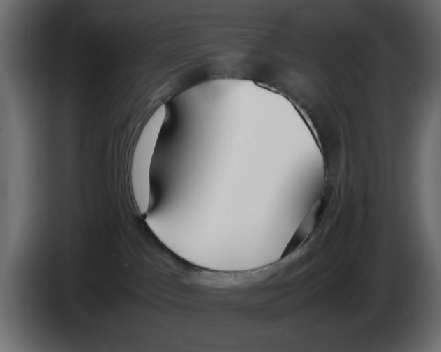 X0000083010045200703021950