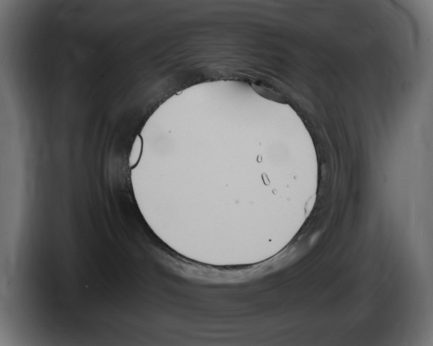 X0000083010048200703021950