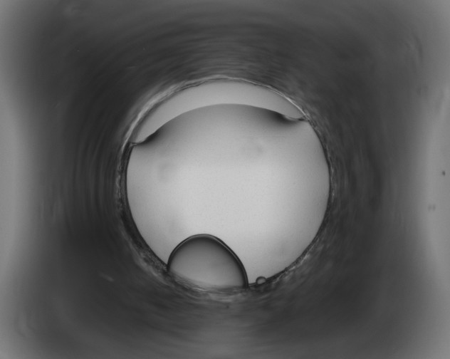 X0000083010050200703021949