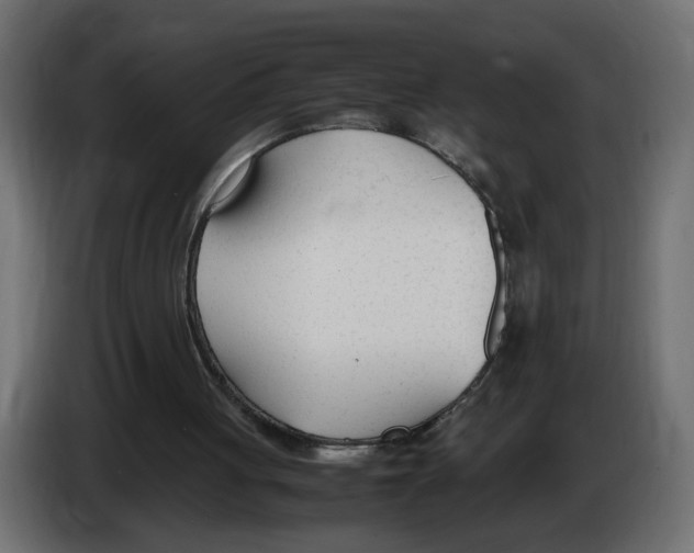 X0000083010051200703021949