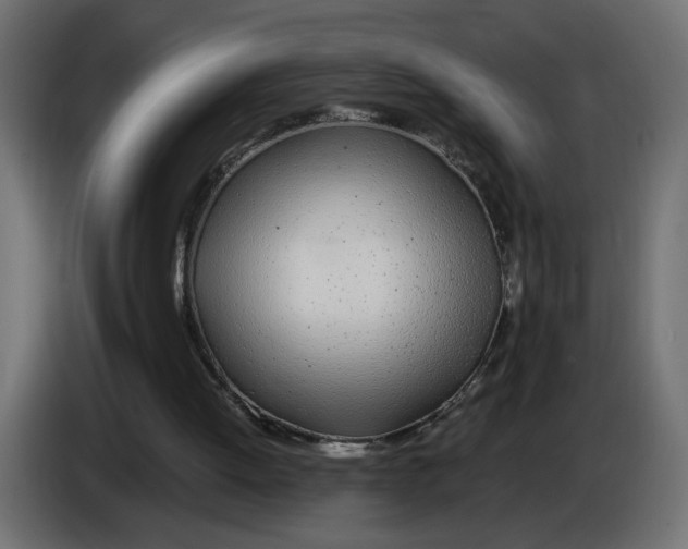 X0000083010052200703021949