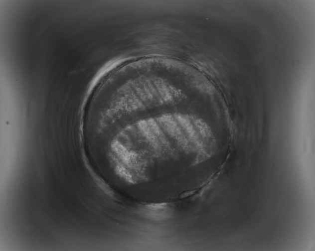 X0000083010054200703021949