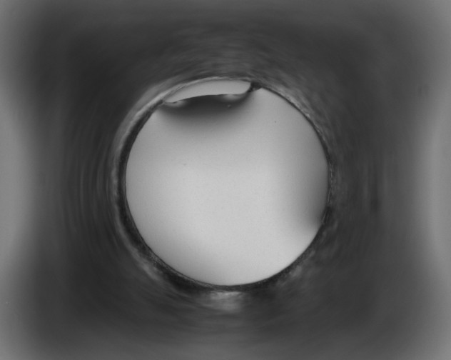 X0000083010055200703021949