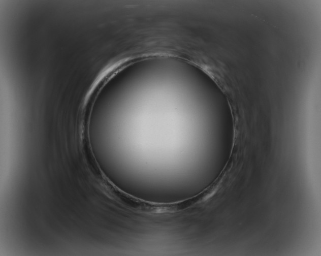 X0000083010056200703021949