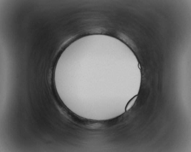 X0000083010058200703021949