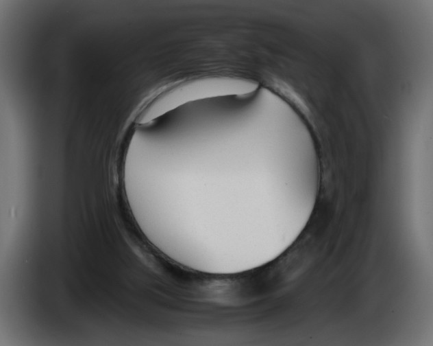 X0000083010059200703021949