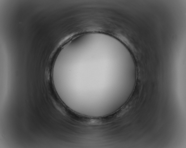 X0000083010060200703021949