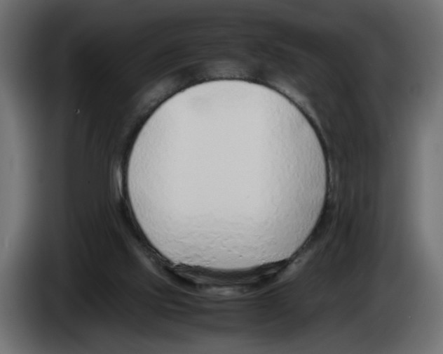 X0000083010061200703021949