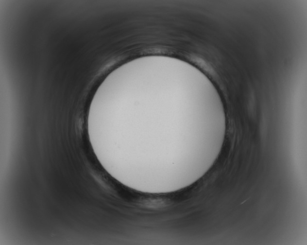 X0000083010063200703021949