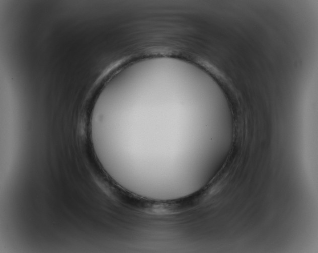 X0000083010064200703021950