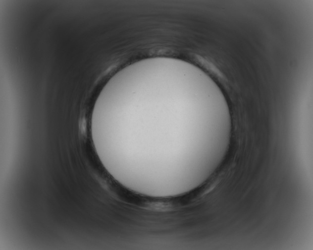 X0000083010067200703021950