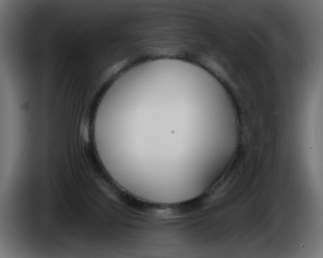 X0000083010068200703021950