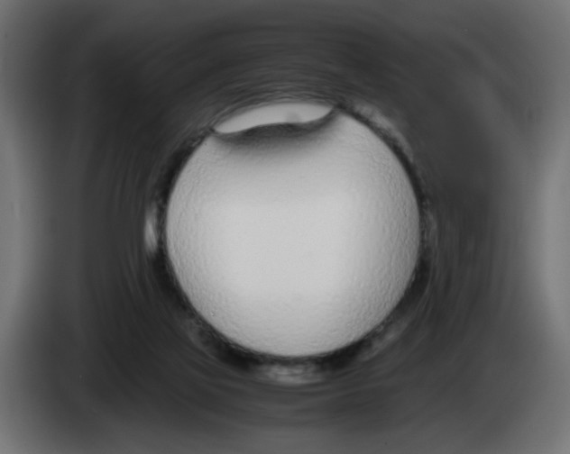 X0000083010069200703021950