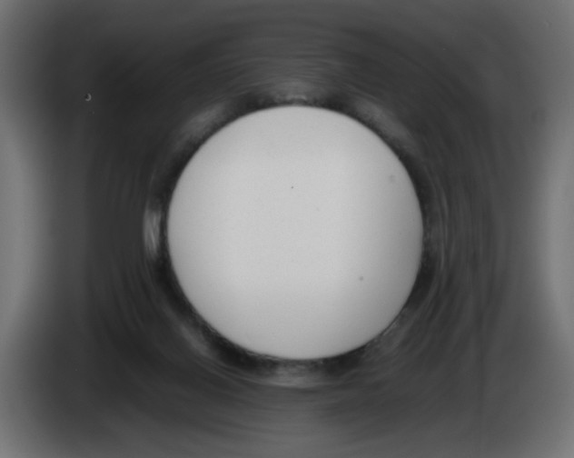 X0000083010070200703021950