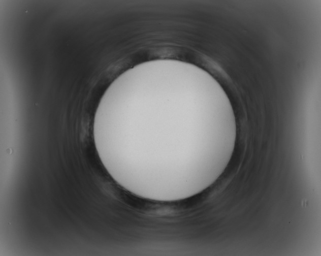 X0000083010073200703021950